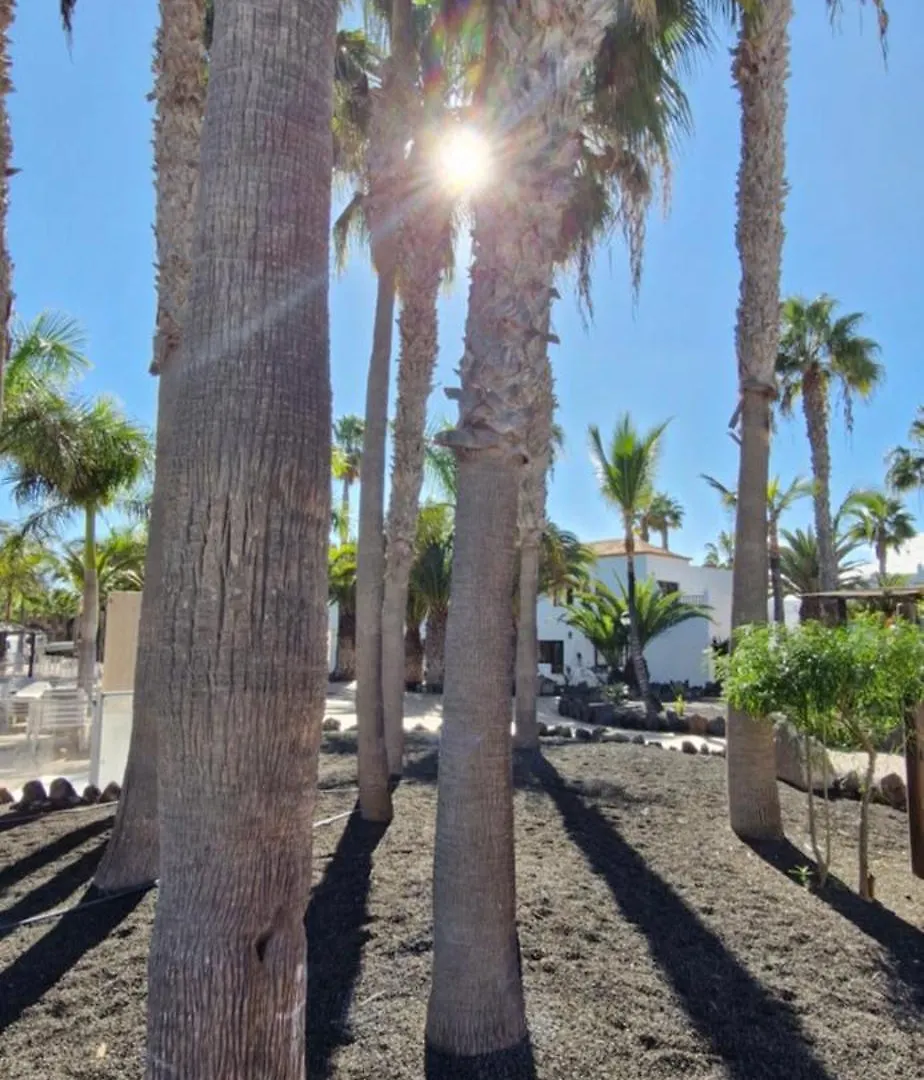 Ferienwohnung Casa Surf Oasis Corralejo Spanien